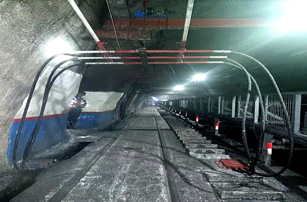 1676277052384375.jpg 1.jpg