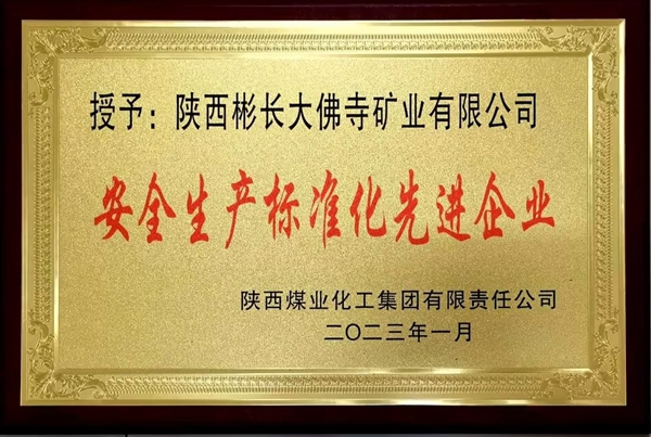 1677465140282667.jpg 奖牌.jpg