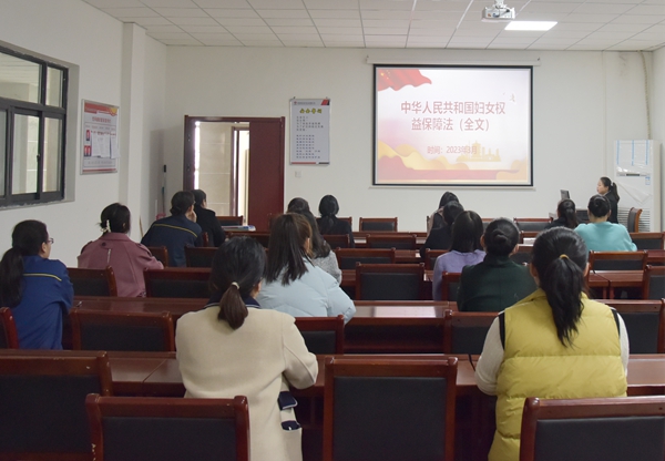 1678355431545966.jpg 4.jpg