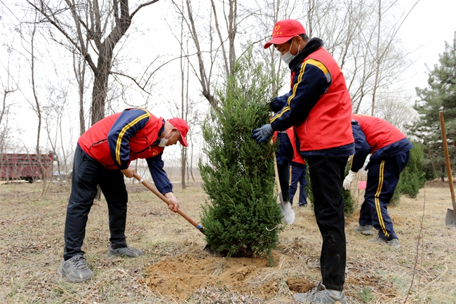 1678518328885411.jpg 6.jpg