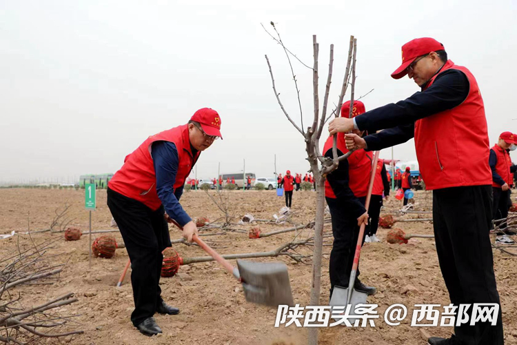 1678599847259217.png 1111.png