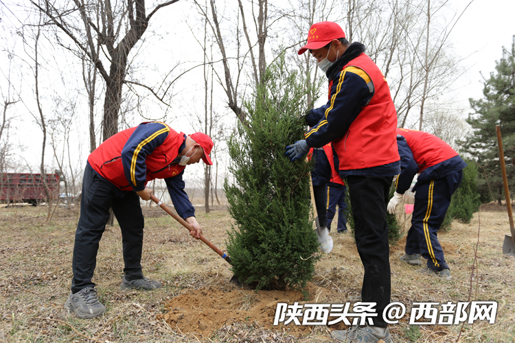 1678599859530818.png 3333.png