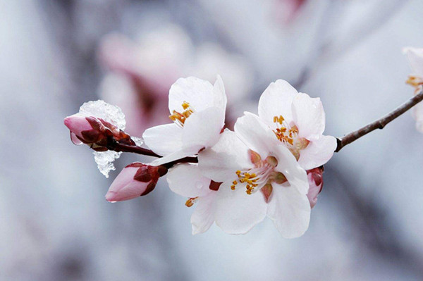 1679128671329298.jpg 配图.jpg