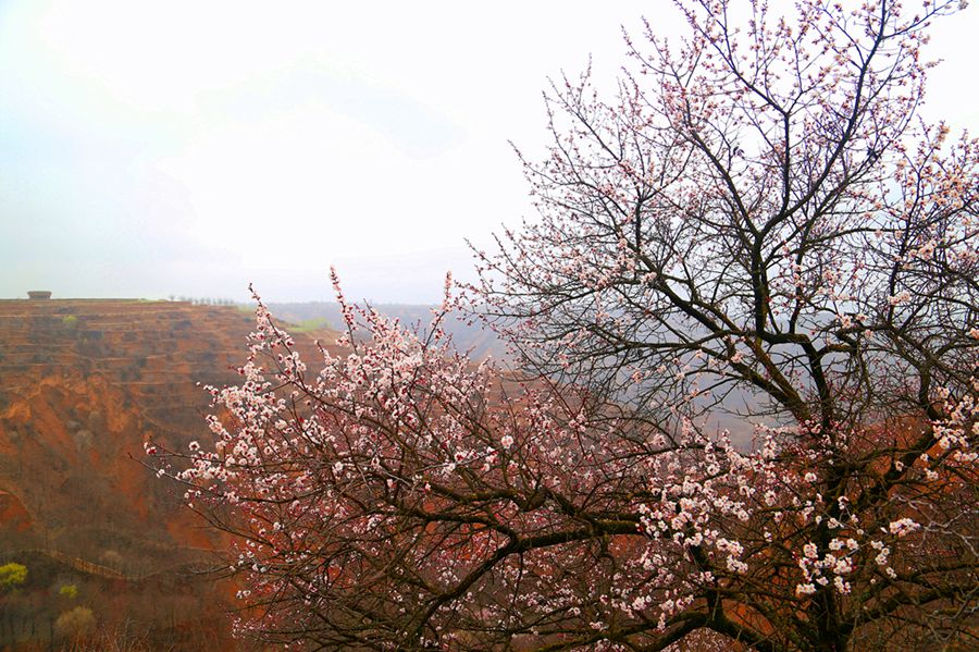 1680137088485131.jpg 1.jpg