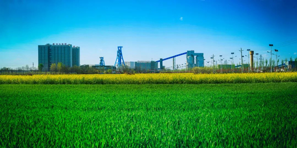 1697078025166401.jpg 4.jpg