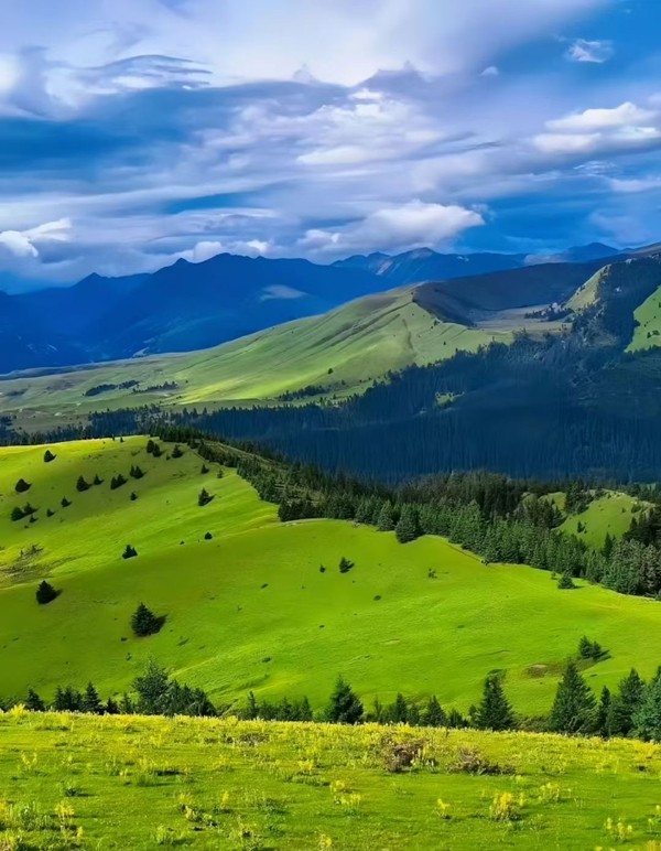 1750929282178191.jpg