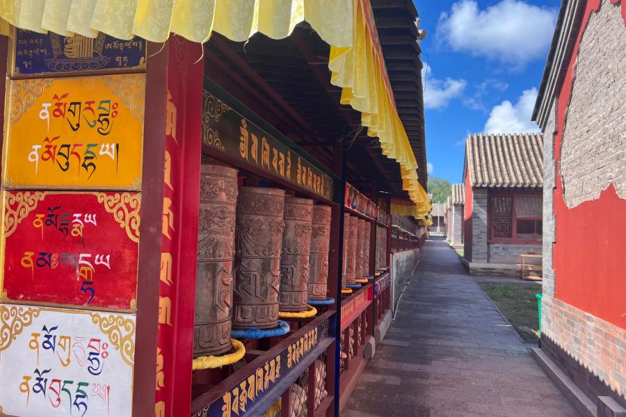 1785918719391097.jpg